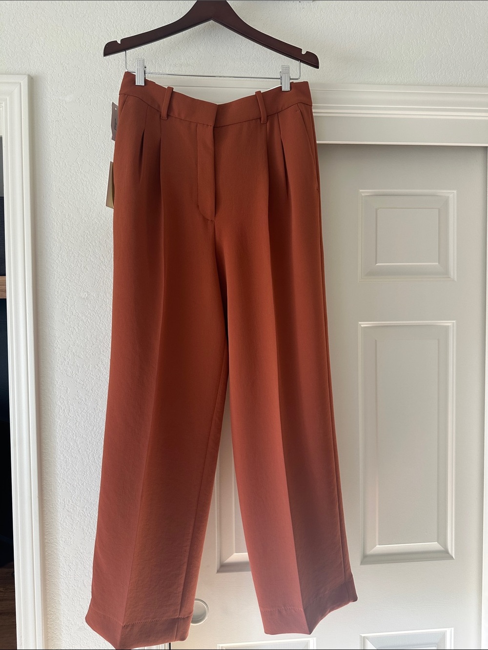 Aritzia Wide-Leg Pants in Rust